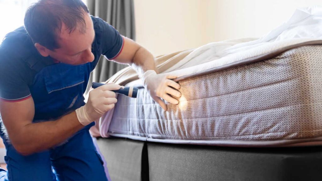 inspection matelas avec lampe torche – détection punaises de lit